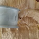 BEARING HALF SET,SL - NSN:3120-00-165-6012