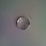 LENS,OPTICAL INSTRUMENT - NSN:6650-00-848-9892