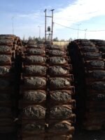 T-142 TRACK SHOE,VEHICULAR - NSN: 2530-00-150-5897